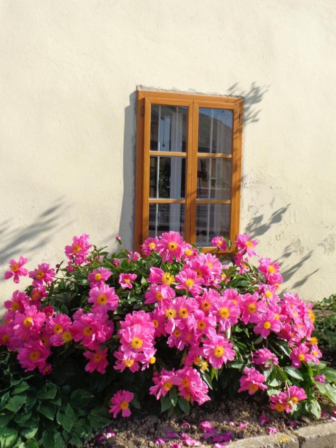 Sobodajalstvo Obal Cankova Exterior foto